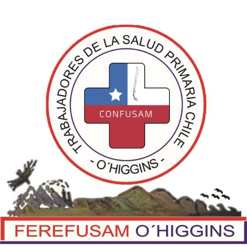 Logo FEREFUSAM O'Higgins